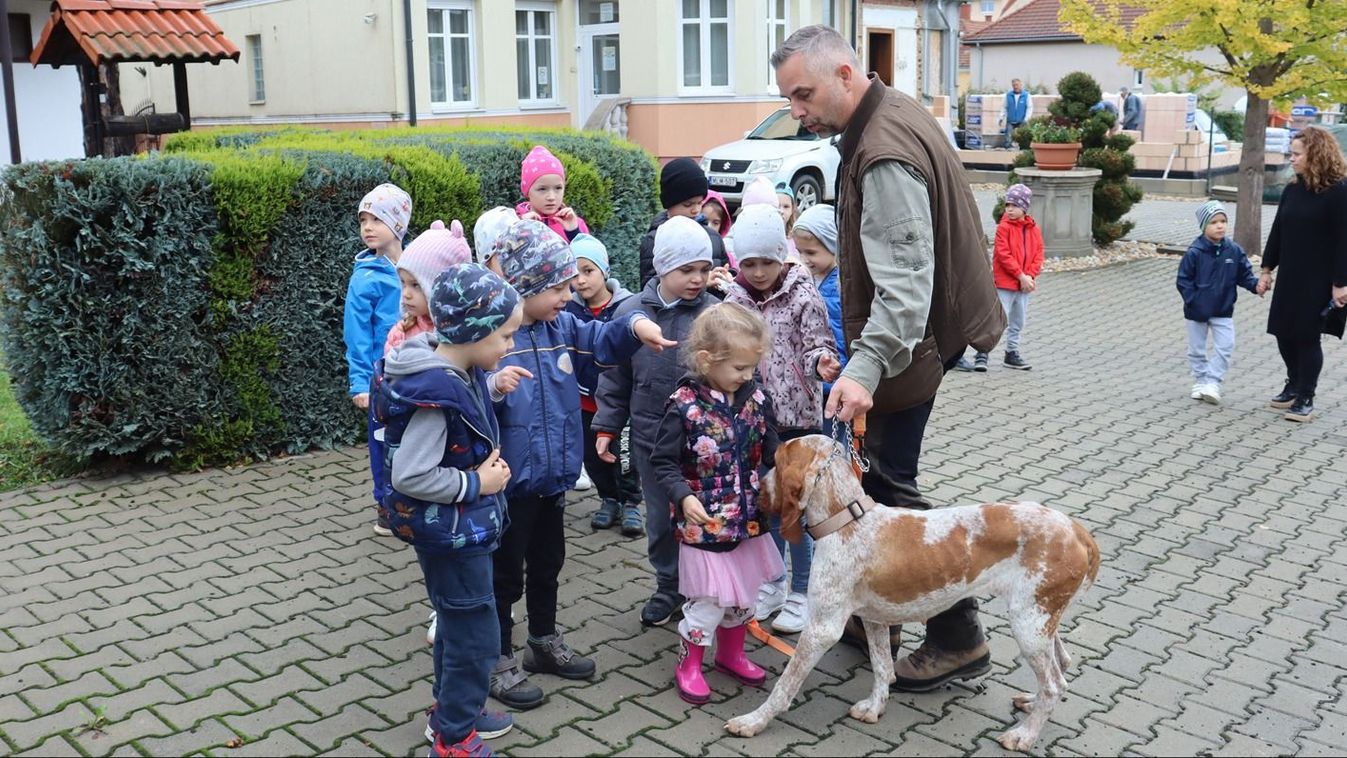 ZAOL A vadon élő állatfajokról tudhattak meg többet az ovisok