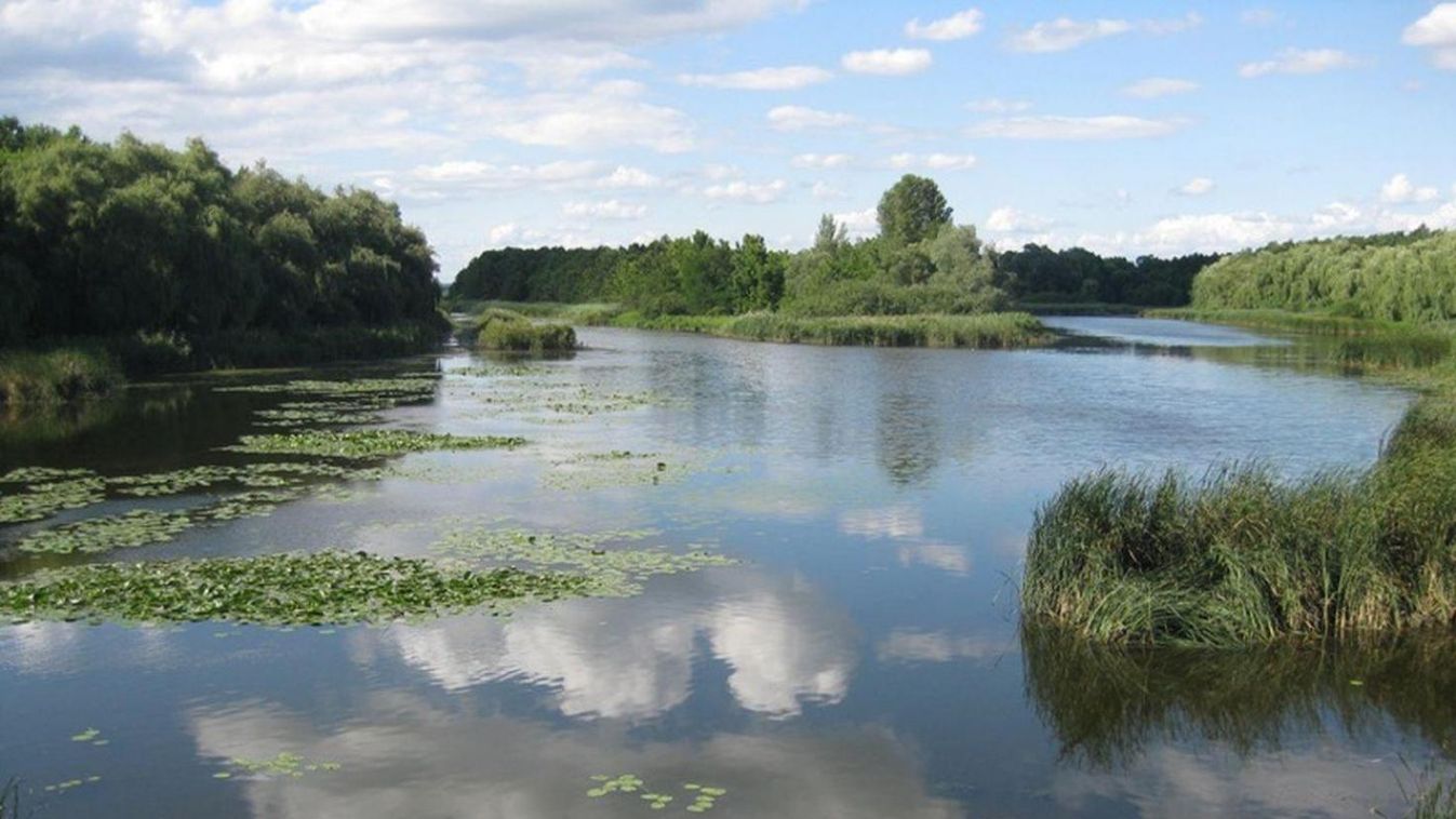 Nézzünk szét a Kis-Balatonnál