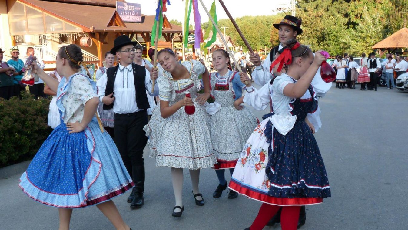 Szüreti szőlőkapkodó Zalakaroson