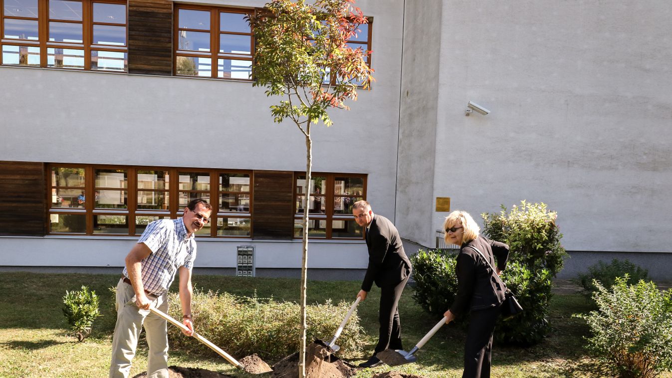Fát ültettek a fürdőben az elődök tiszteletére Zalakaroson