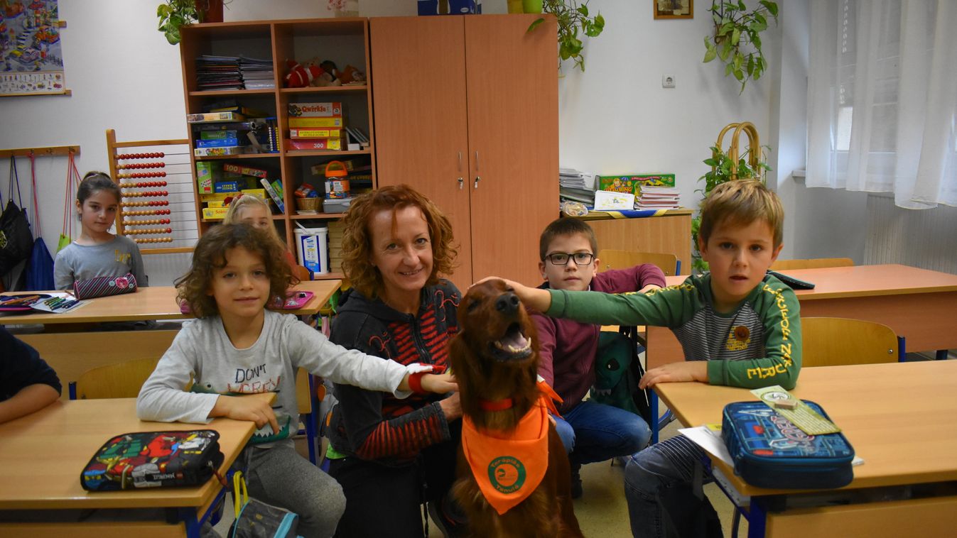 A továbbtanuláshoz meríthettek ötleteket Zalakaroson