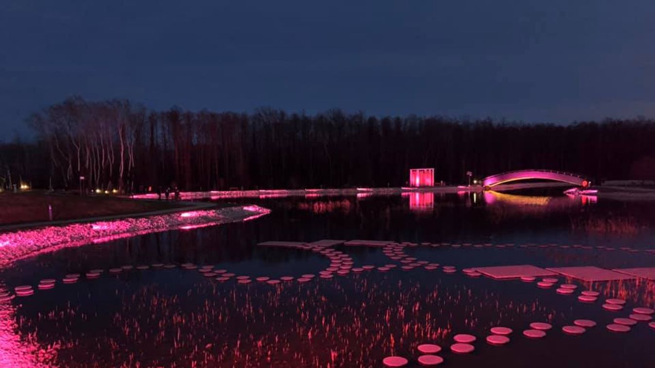 Lenyűgöző fotó: Rózsaszínbe borult a zalakarosi tó