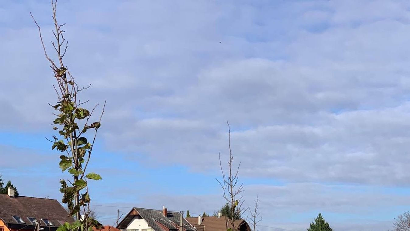 Zalakaros a Balaton zöld tüdeje