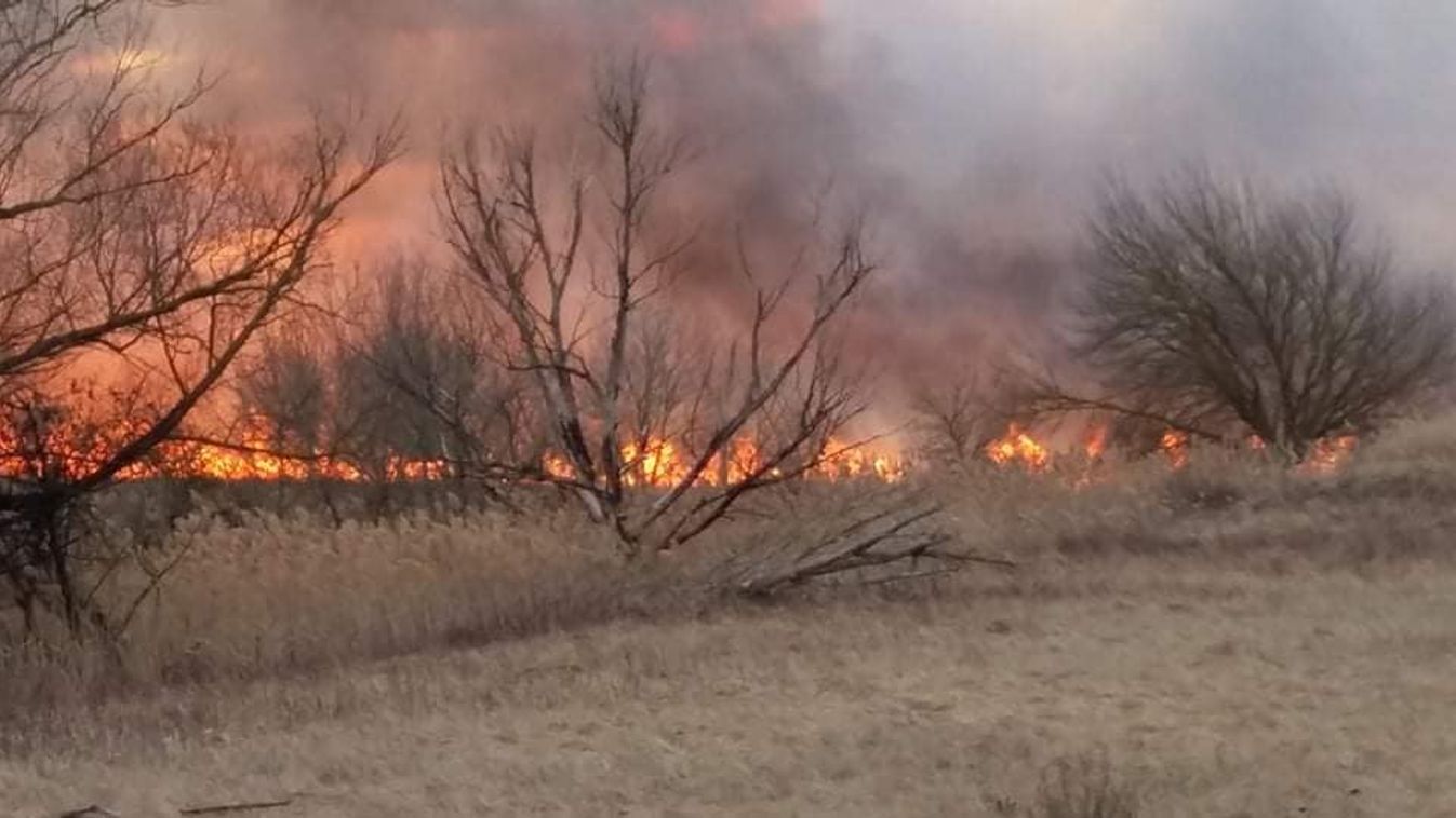 Nagy területen égett a nádas Fonyód és Balatonfenyves között – frissítve