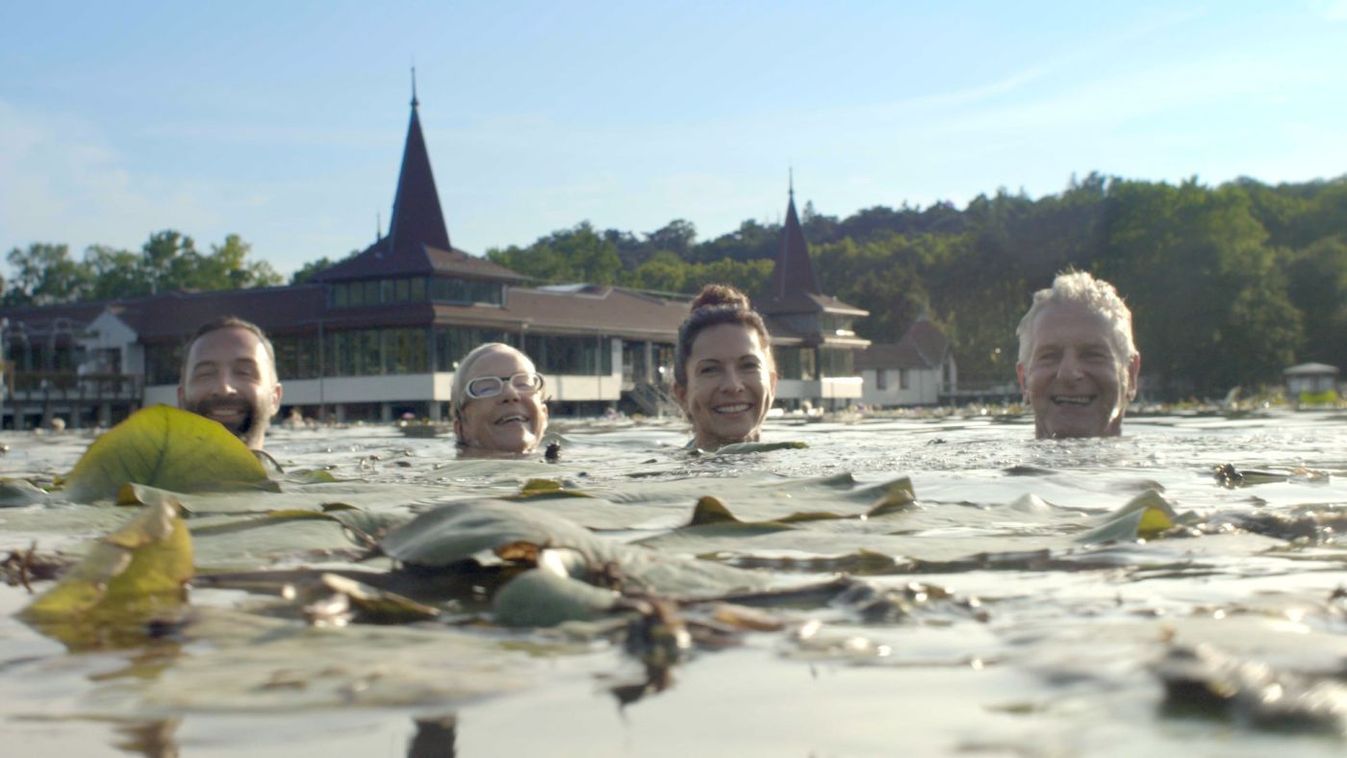 Már applikációval is igazolható a védettség a zalai szolgáltatóknál