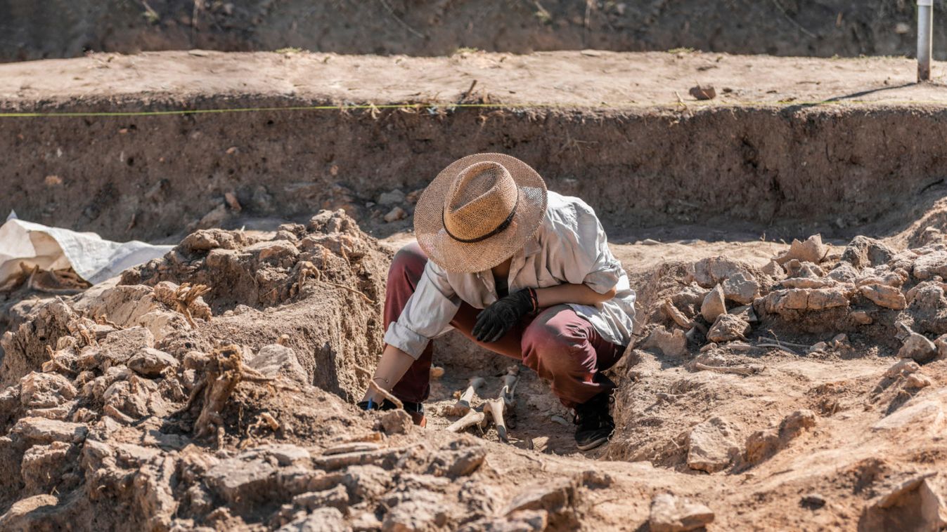 A kölni zsidónegyedet az UNESCO világörökségi listájára jelölnék