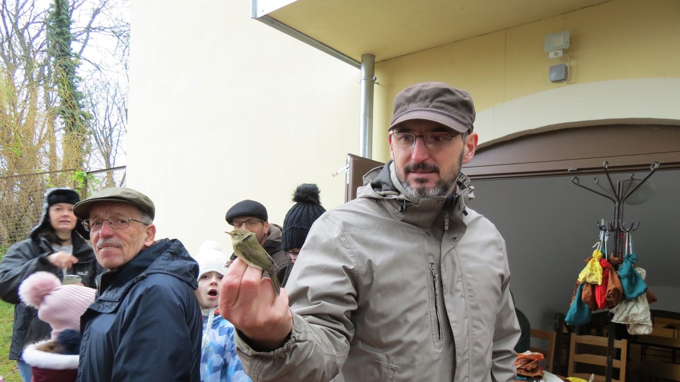 Rekorddal indítottak a téli szezon első madárgyűrűzésén az Erdődy–Hüvös-kastély parkjában
