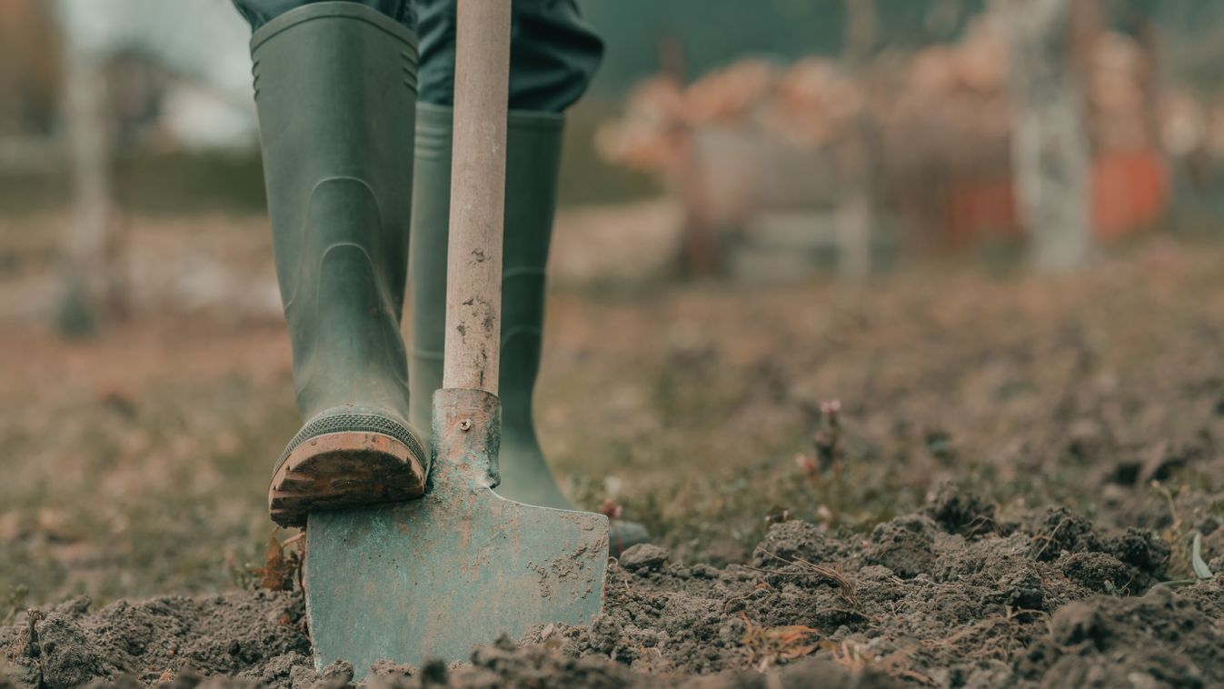 Alsónadrág és talajminőség – kitalálja, mi az összefüggés?