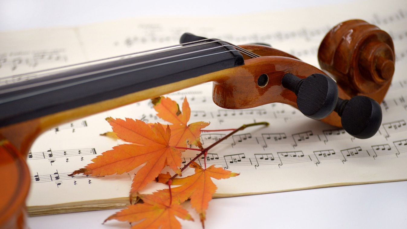 Programok Zalaegerszeg és környékén