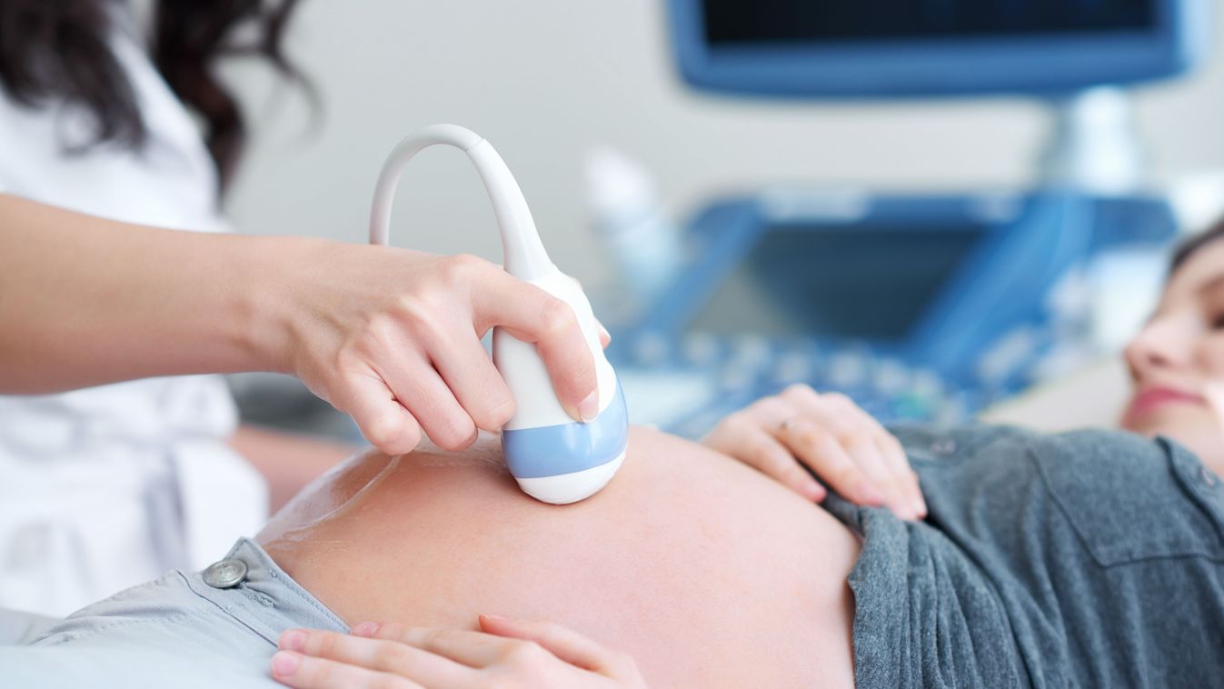 A Demokratikus Koalíció most az abortuszok számáról hazudik
