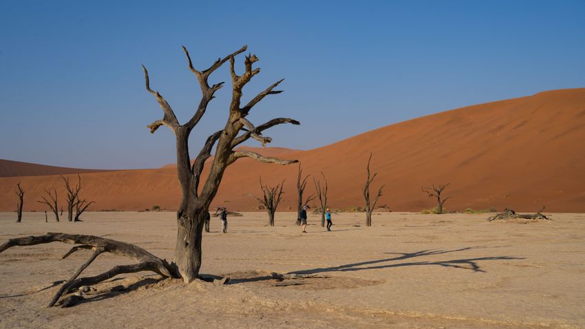 Under the Starry Sky of Namibia – Zsolt Ágoston spent two weeks filming in Africa