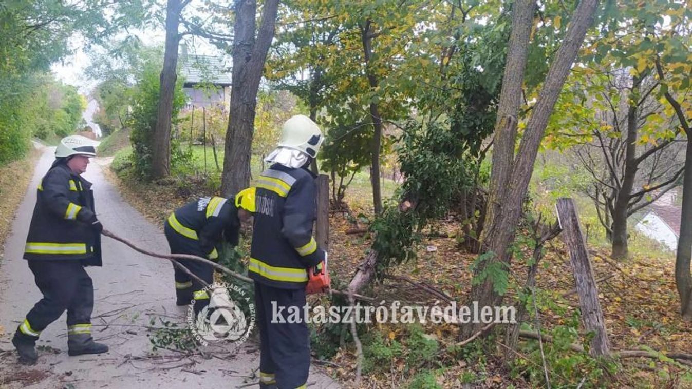 Úttestre dőlt egy fa Zalaegerszegen