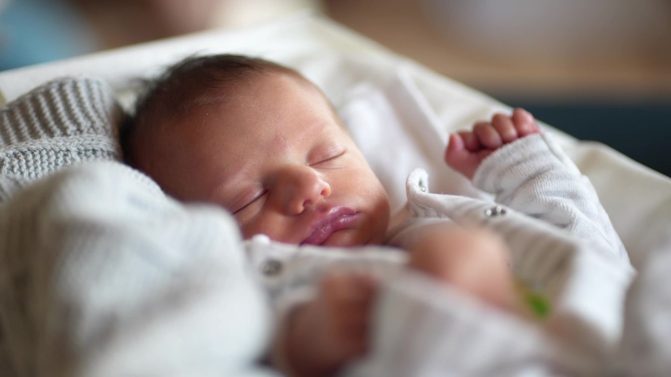 Pár nap alatt két inkubátor is életet mentett