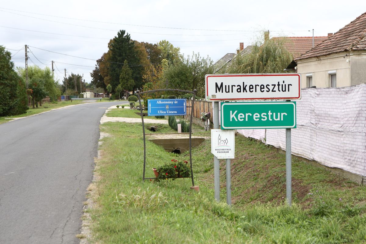 gyilkosság