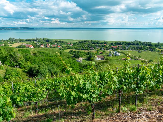 Balaton