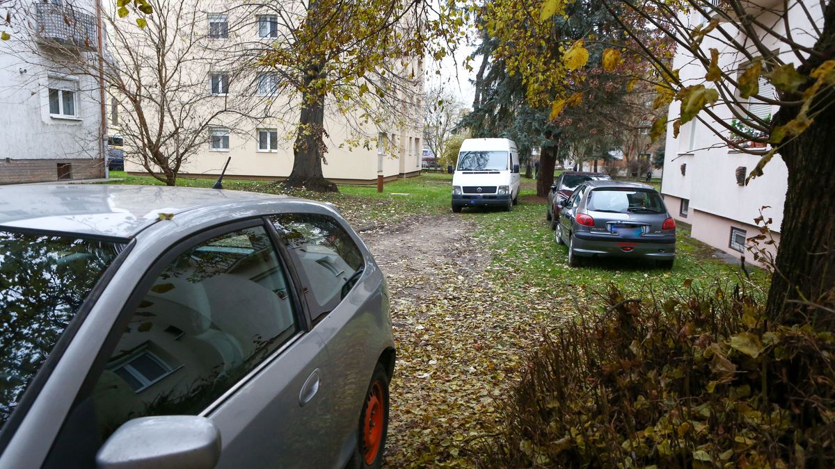 zöldövezet