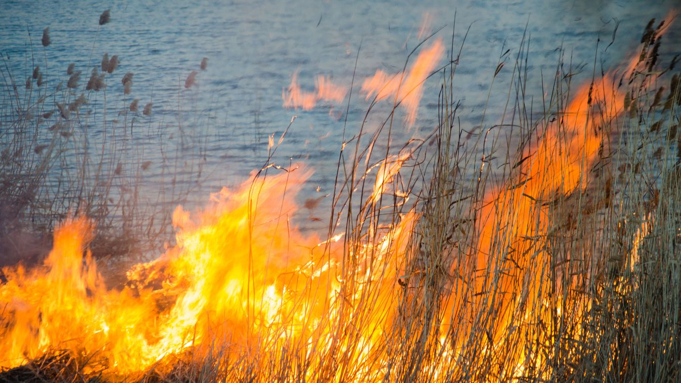 Kigyulladt a nádas a Kis-Balatonon
