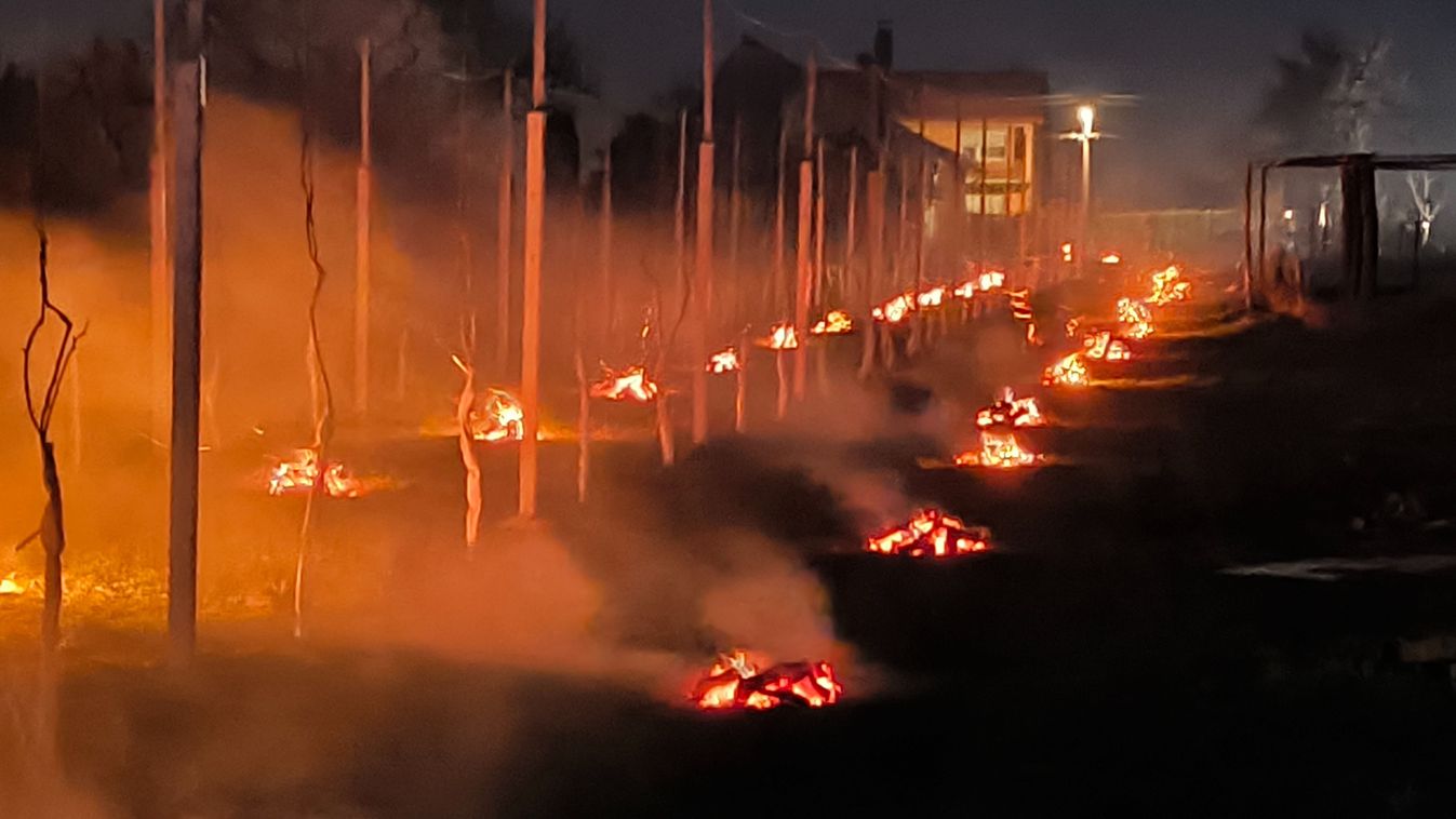 Ősi módszerrel védekeztek a fagykár ellen Zalában