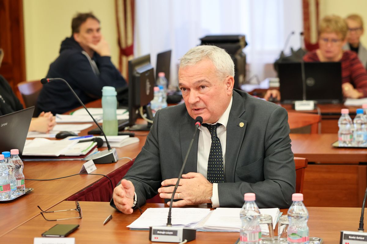 gazdasági program