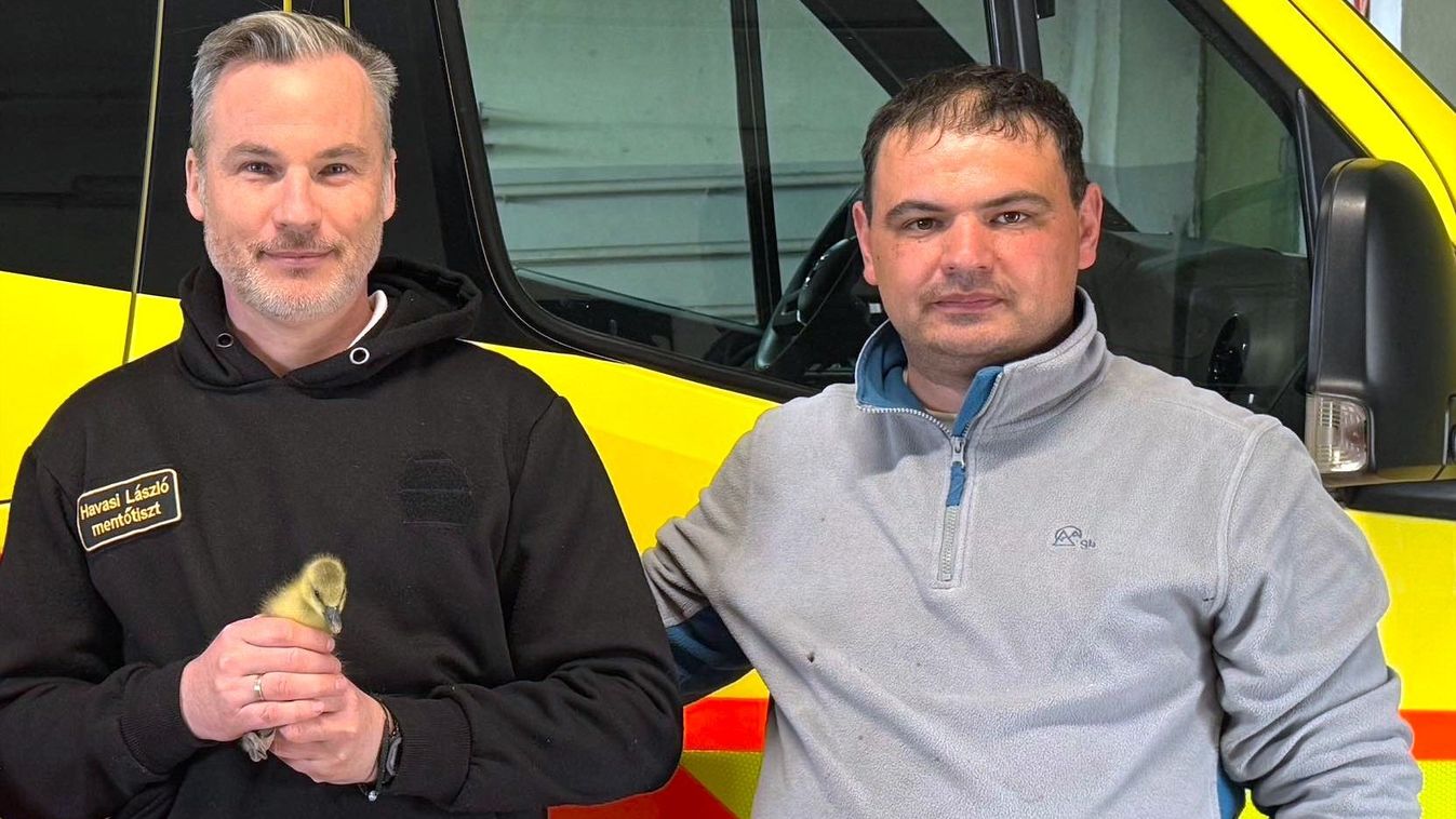 Nagyon furcsa kis betegen segítettek a mentők, ilyet még ők sem láttak