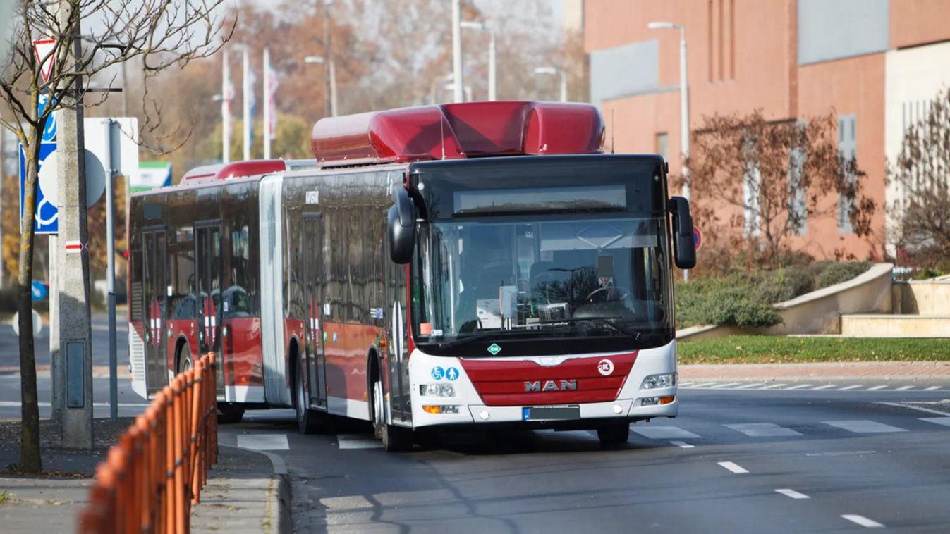 Áthajtott a kutyán a kaposvári buszsofőr, a szemtanúk szerint szándékosan, nagy a felháborodás