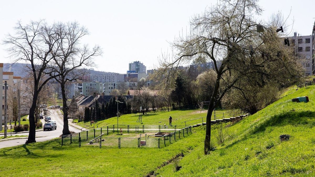 szarvas
