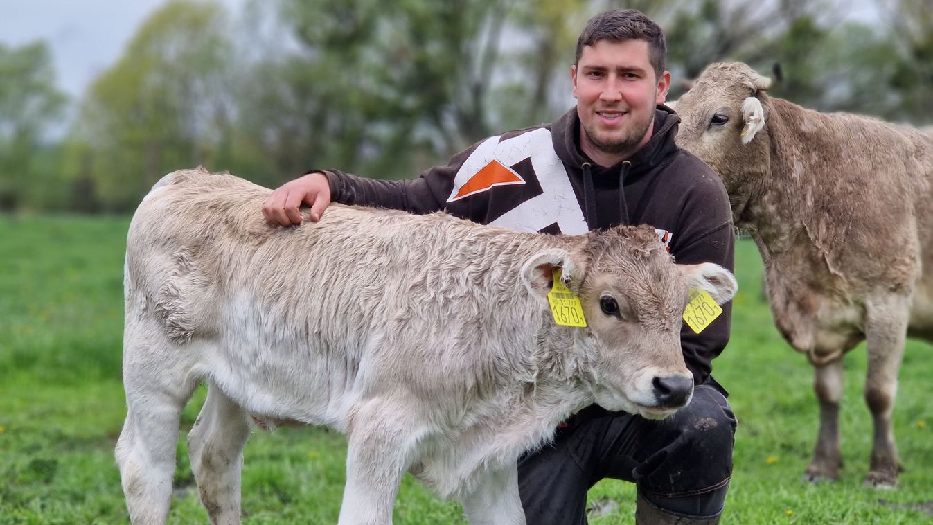 Bella boci és társai: így mentik az őshonos fajtát Zalában
