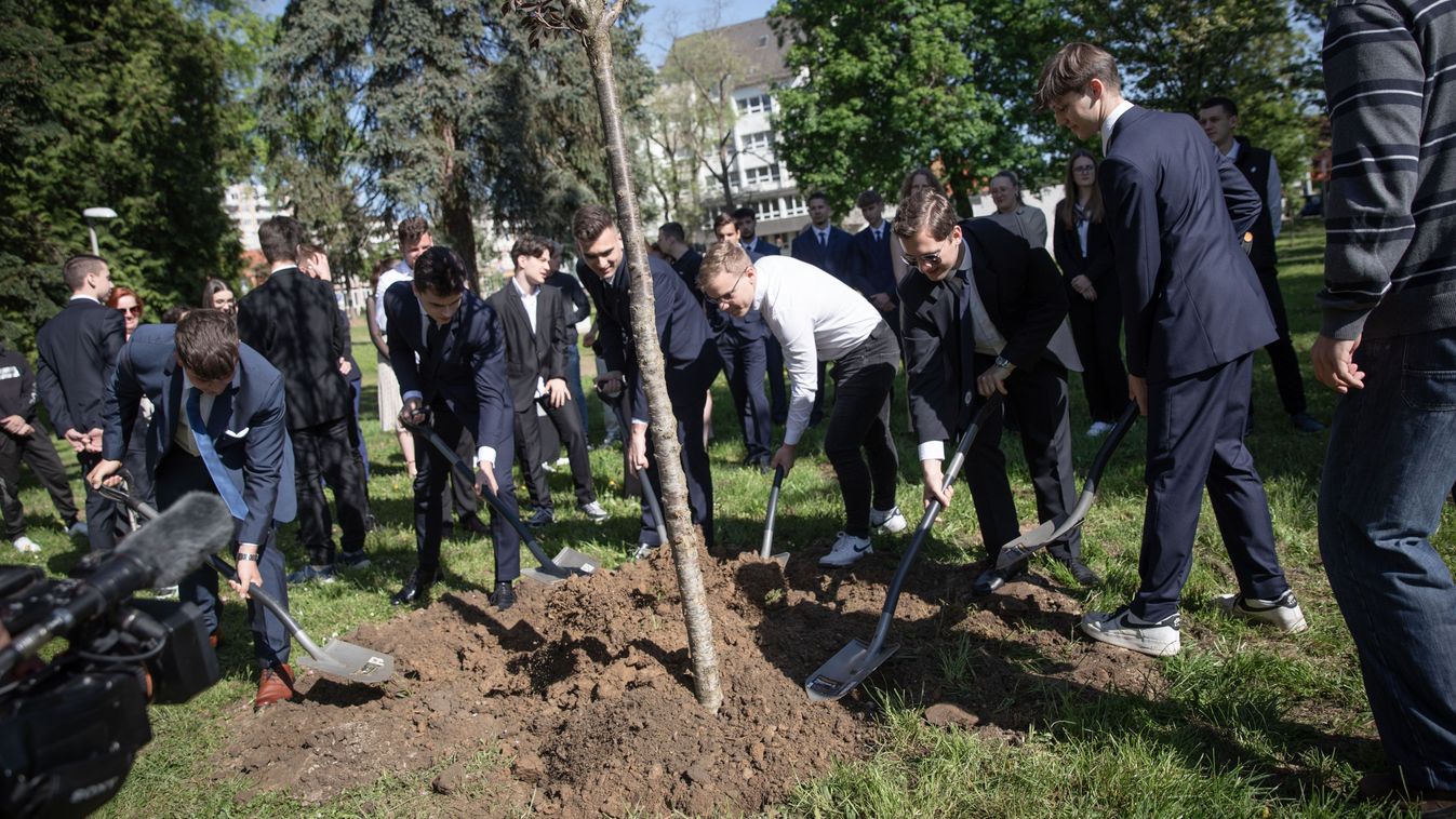 Elültették a fát, ami majd a diákévekre emlékezteti őket (galéria, videó)
