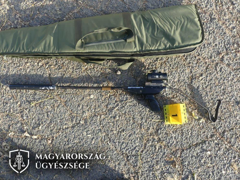 Ez egy 22 Long Rifle kaliberjelű kispuska, amit házilag válltámasszal, hangtompítóval és célzókészülékkel látott el a vádlott