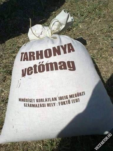 tarhonya