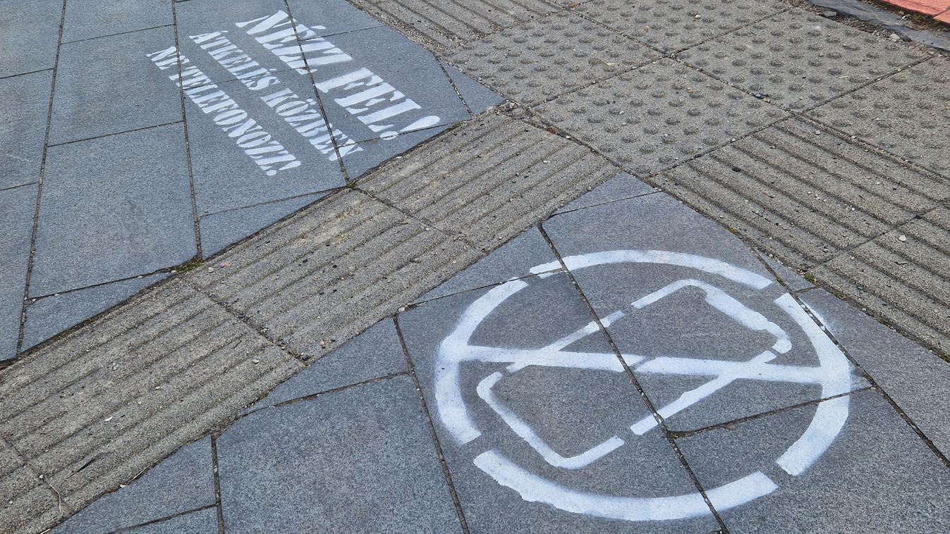 Halálos baleseteket előzhet meg egyetlen szó – Nézd meg, mit írtak a zebrák mellé!