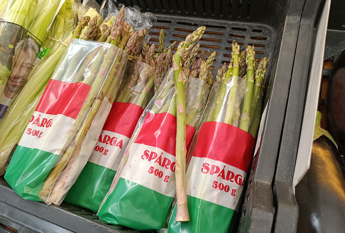 Spárga, a királyok zöldségének is nevezik gazdag vitamin- és tápanyagtartalma miatt