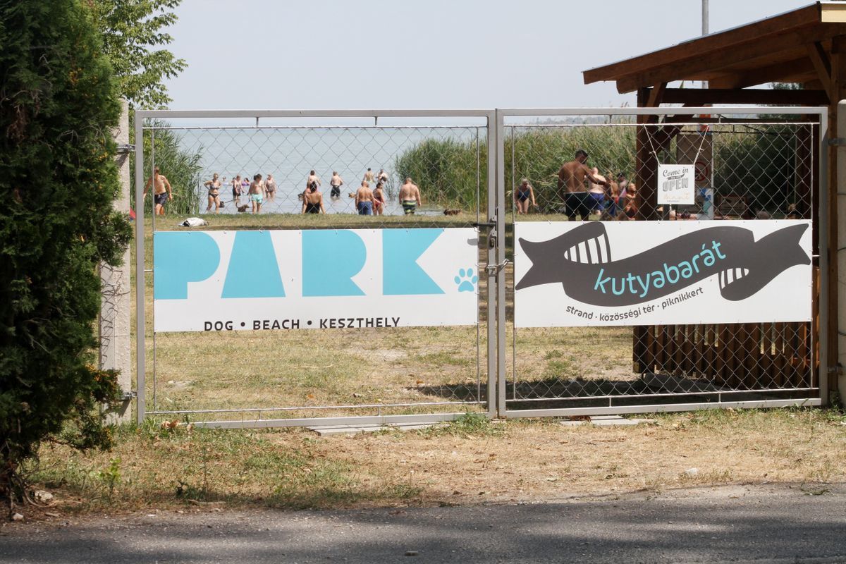 kutyás strand