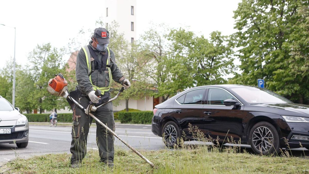 Kavicsos csalók, trükkjük, hogy a füvet nyíró emberekre fogják szélvédőjük sérülését. (A fotó illusztráció)