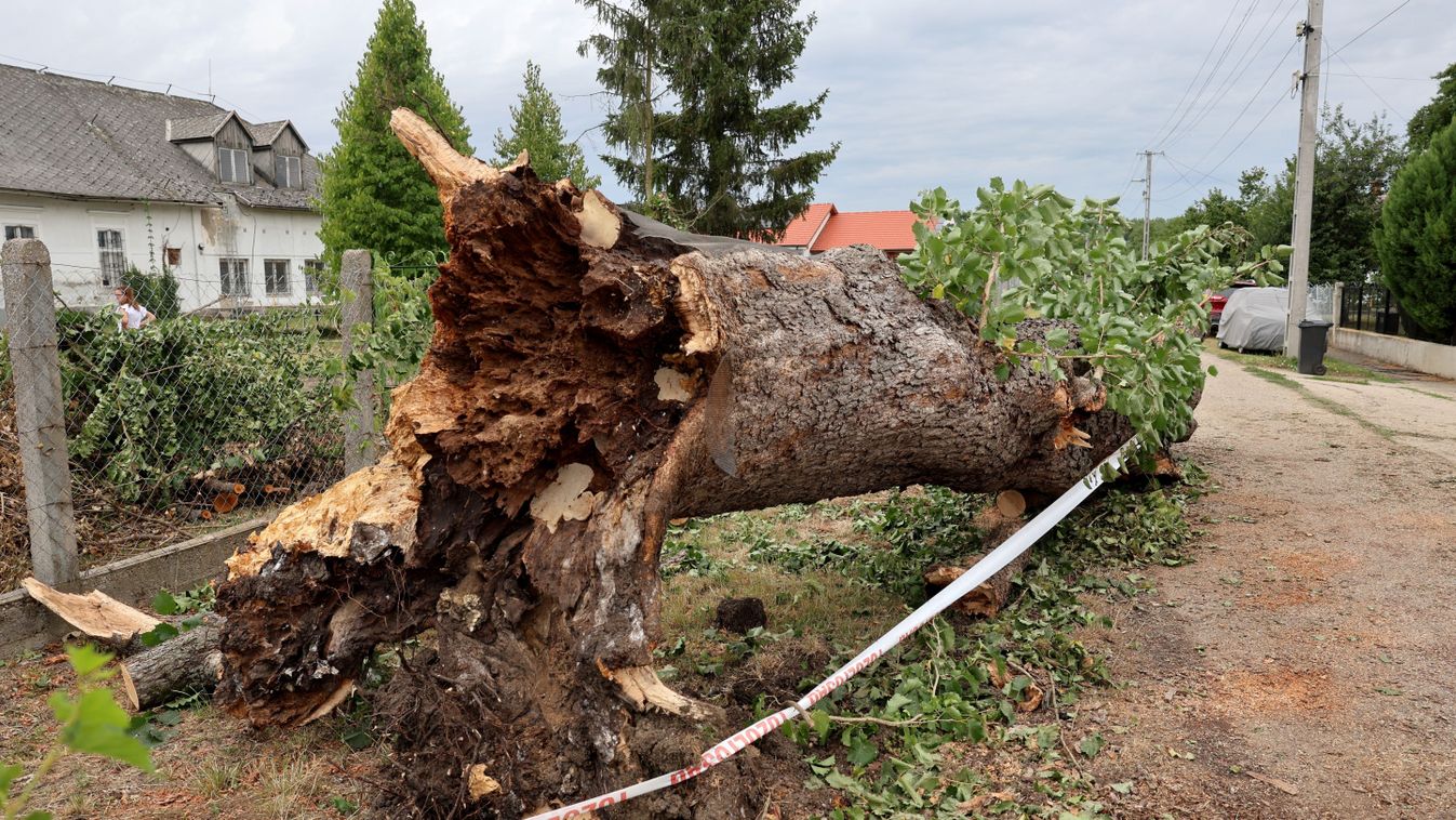 A Katolikus Karitász támogatja a viharkárosultakat