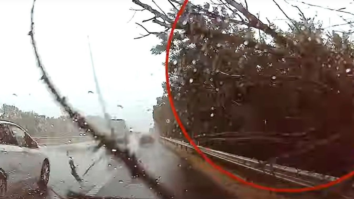 Sokkoló videó: a vihar rádöntötte a fát menet közben az autóra az M7-esen