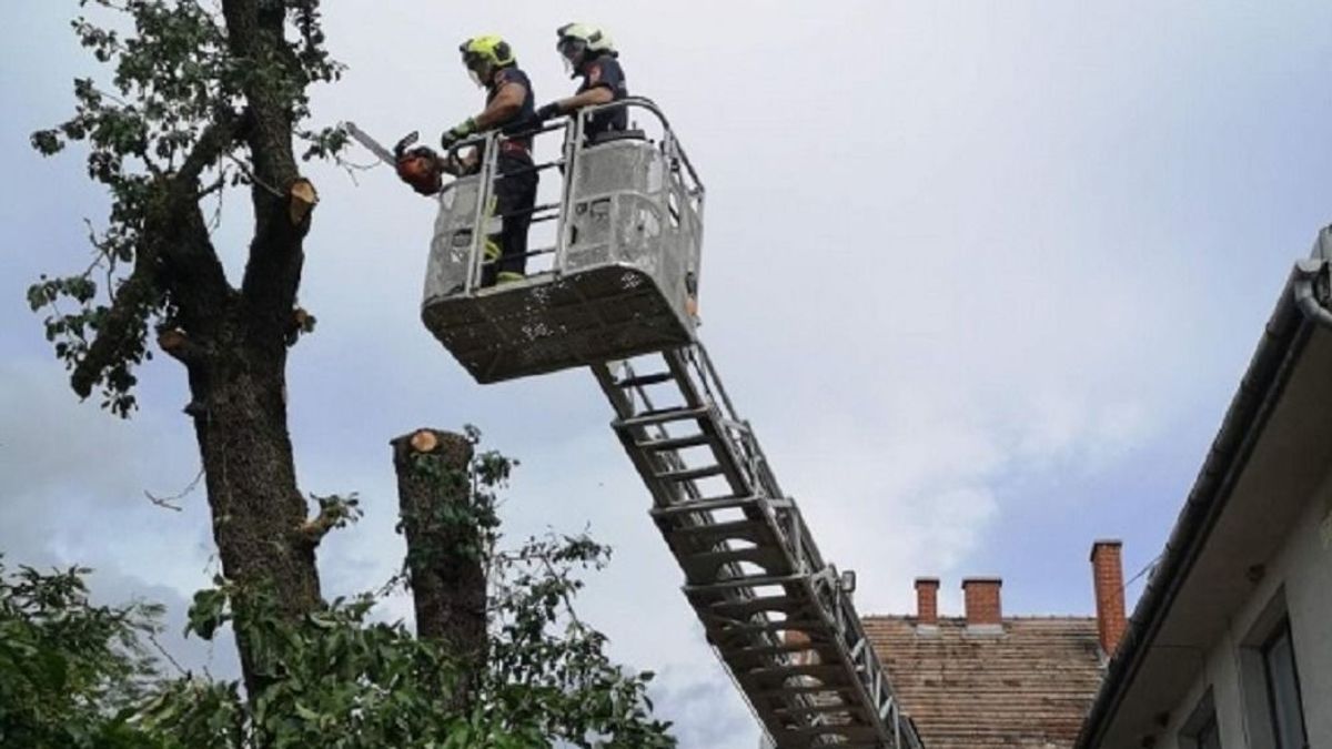 A tetőt is bedönthette volna egy kettéhasadt fa a zalai városban