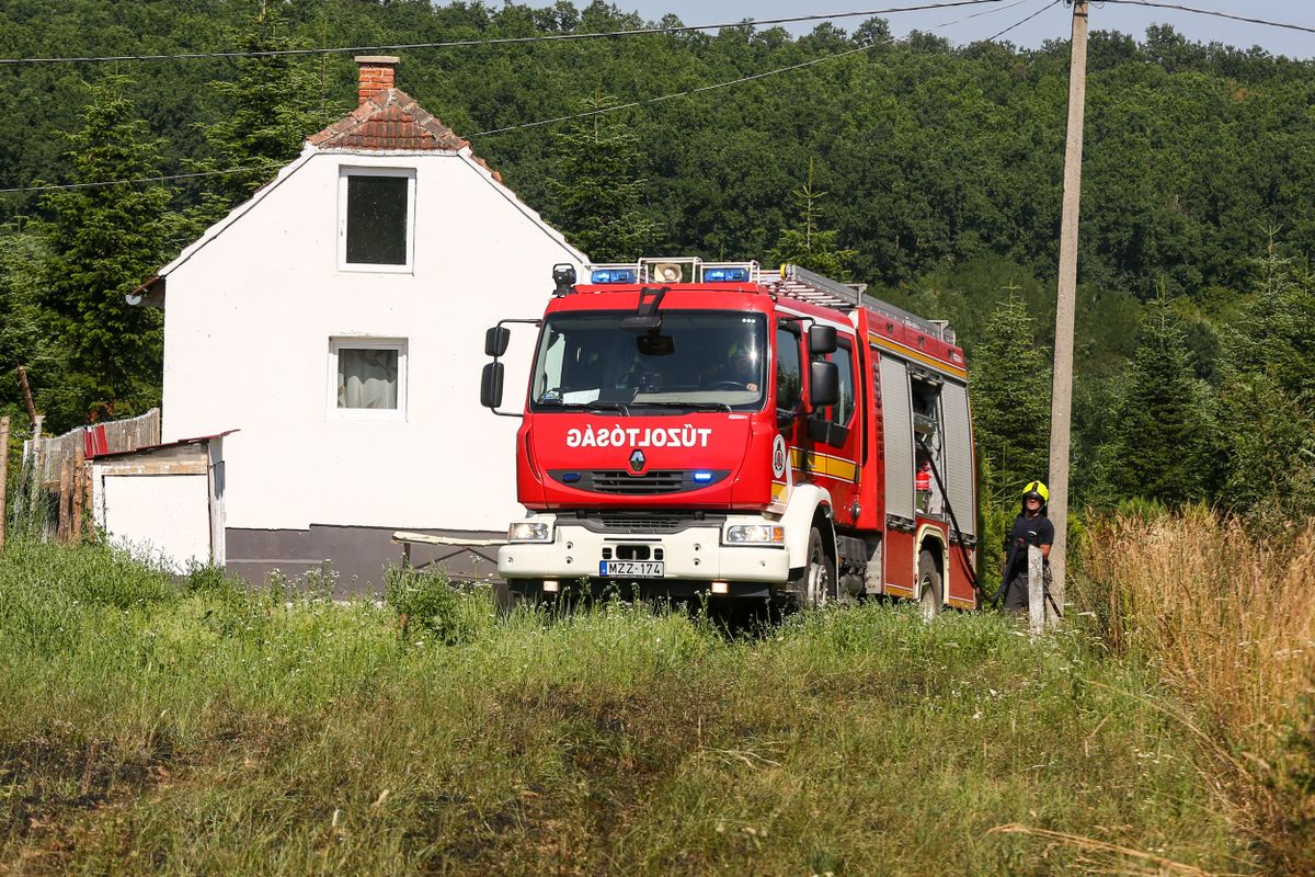 tűz