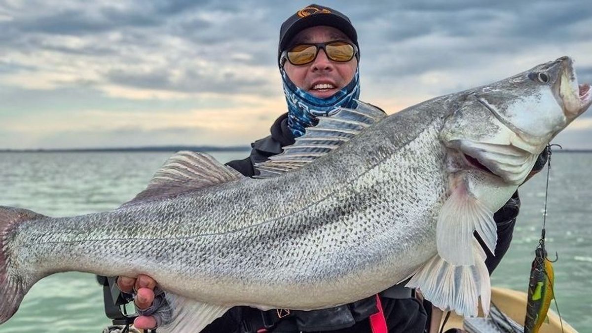 Süllőkirálynővel találkozott a horgásztúra-vezető a Balatonnál