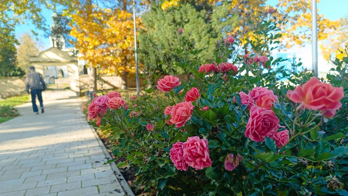Szerdán napközben még tavaszias idő, estétől azonban visszakacsint ránk a tél Zalában