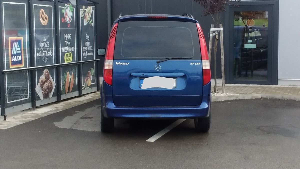 A vizsgán ezért tuti megbukott volna a söfőr - nem zavarták a párhuzamos vonalak