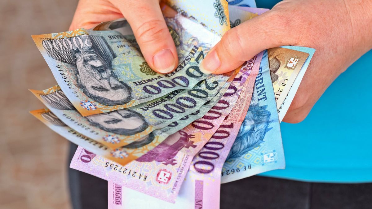 Lenyúlta a bevételt a zalai húsüzletben dolgozó bolti kisegítő