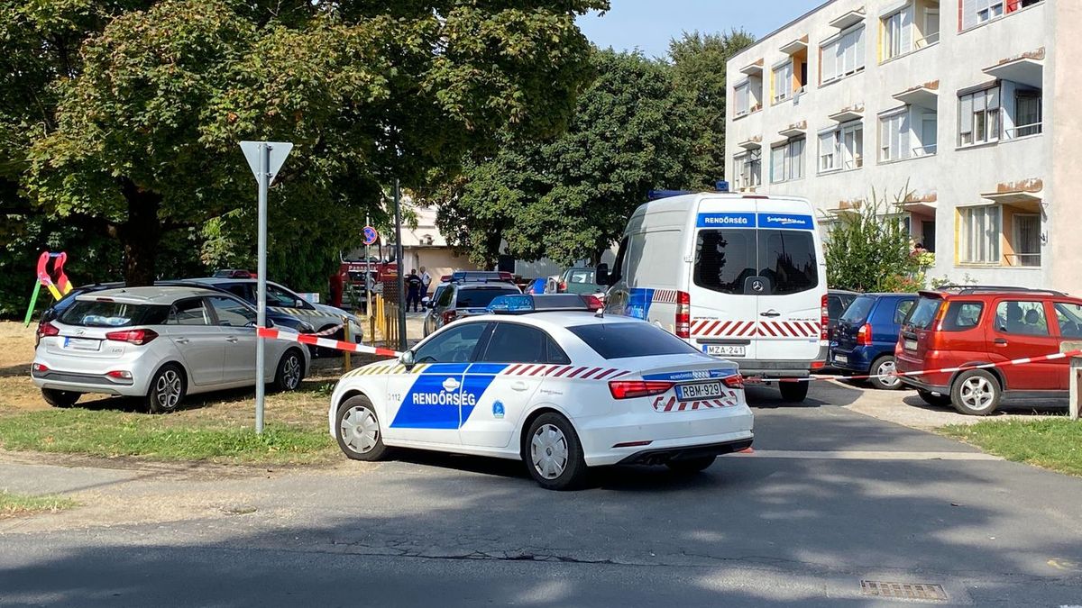 Ennyit kapott a kukásautó vezetője, aki elütött egy nőt Zalában