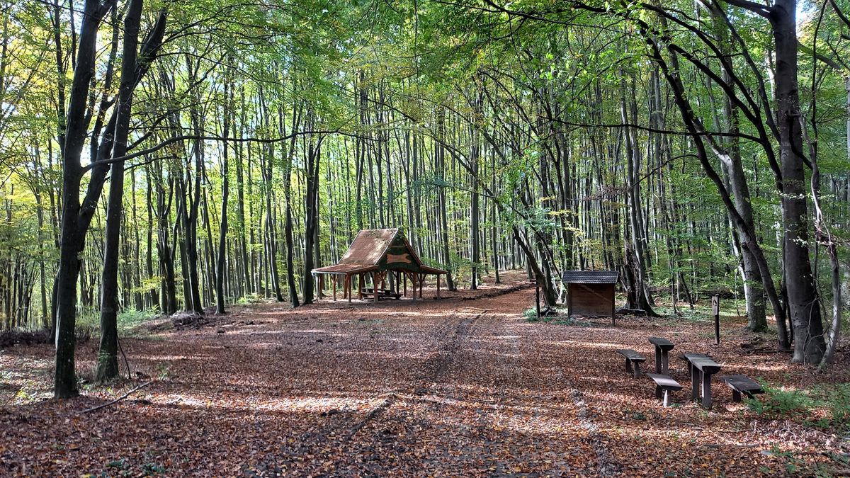 Itt elbújhatsz a világ elől! 5+1 varázslatos erdei hely Zalában, amit látni kell