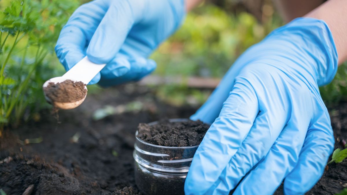 Gyógyszermaradványok a földben