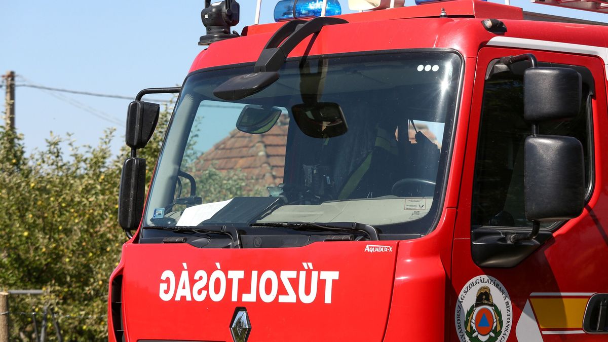 Ez az eszköz az idősek védőangyala lett – mégsincs minden idősnél