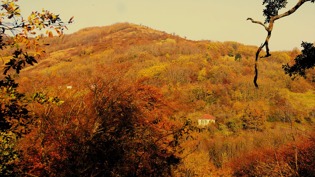 Bezeréd kastélyától, kriptán, kápolnán át a Zala-völgy legmagasabb pontjára (képgaléria)