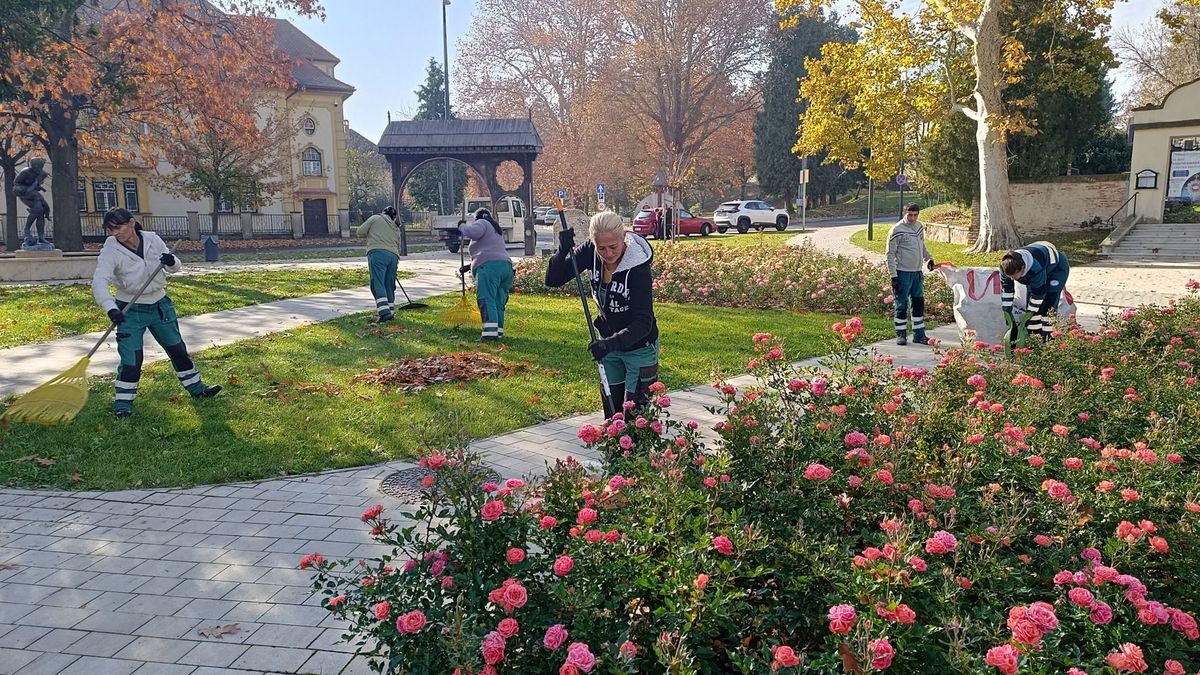 Így gyűjtik a lehullott faleveleket Zalaegerszegen – komposztálva visszakerülnek a természetbe