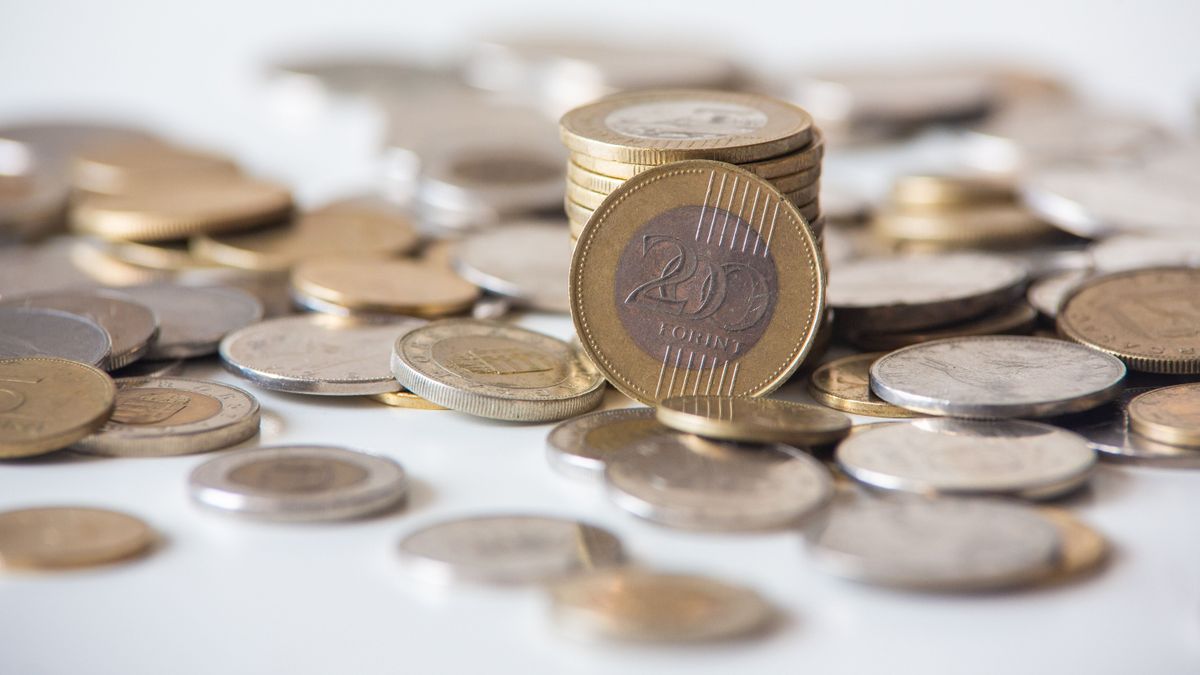 Vagyonokat ér ez a 200 forintos – talán a te pénztárcádban is lapul egy