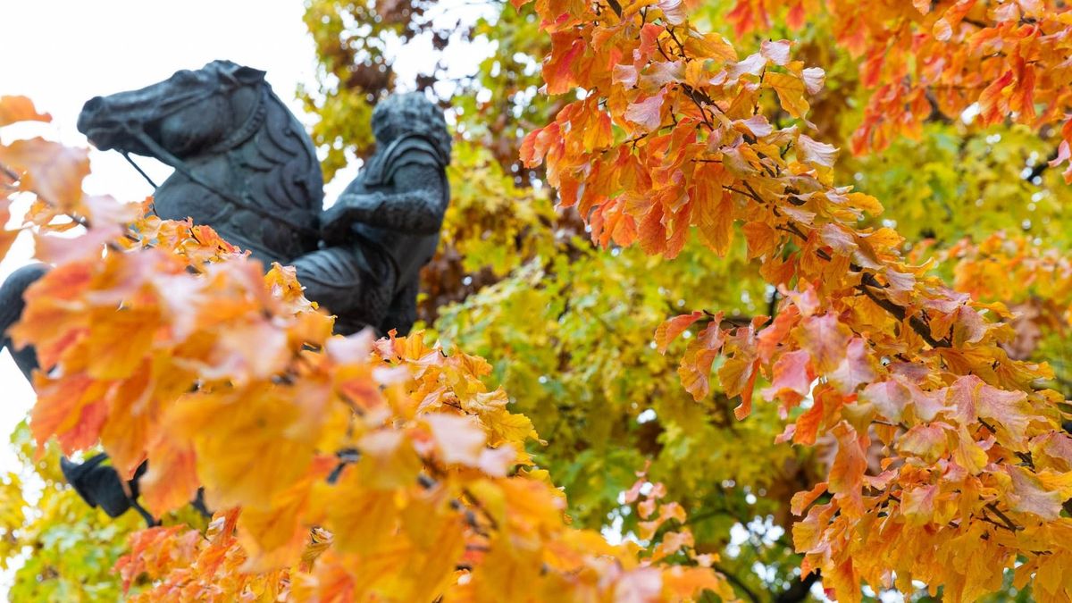 Reggel még nem sejted, mi vár rád hétfőn Zalaegerszegen - Ilyen lesz a holnapi időjárás